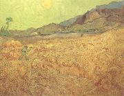 Vincent Van Gogh Wheat Fields with Reaper at Sunrise (nn04) china oil painting reproduction